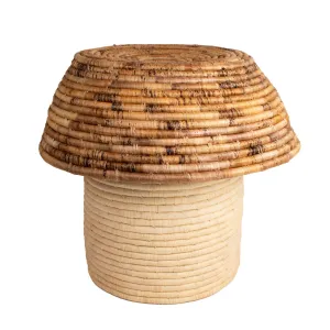 Mushroom Storage Basket